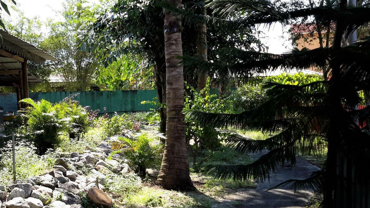 Sabandy Guesthouse Kuah Exterior photo